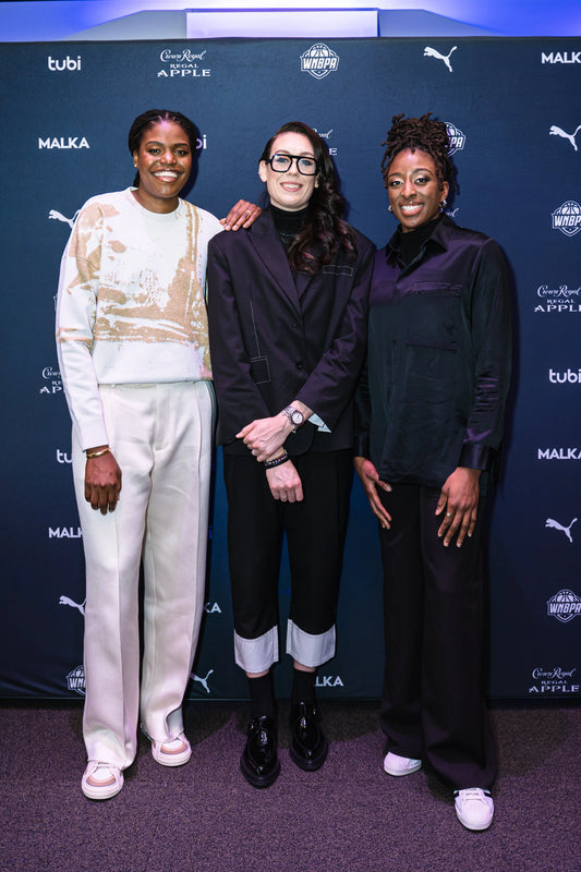 Unveiling-Shattered-Glass-A-WNBPA-Story-A-Trailblazing-Journey-into-Women-s-Basketball Grind Pretty